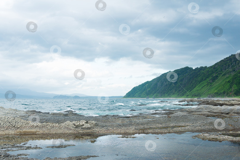 Скачать прибрежный пейзаж с красивым столбчатым базальтовым утесом на лесистом побережье острова Кунашир фотосток Ozero