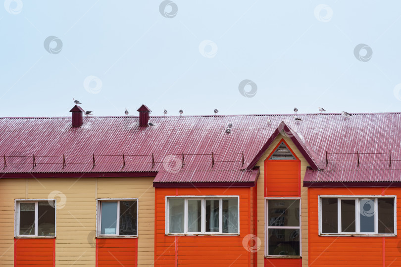 Скачать чайки сидят на крыше деревянного дома фотосток Ozero