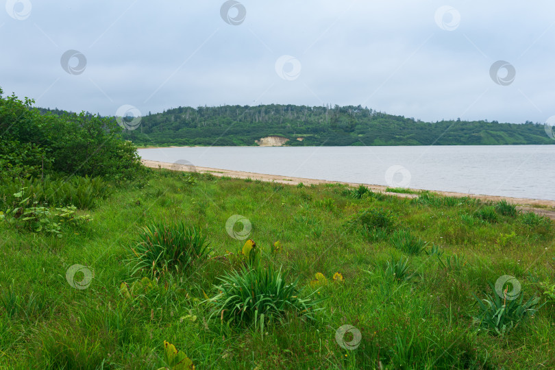 Скачать берег озера в пасмурную погоду, озеро Лагунное на острове Кунашир фотосток Ozero