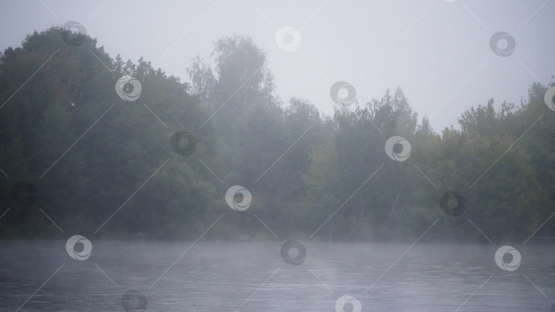 Скачать Раннее утро на реке, в лесу, в тумане над водой фотосток Ozero