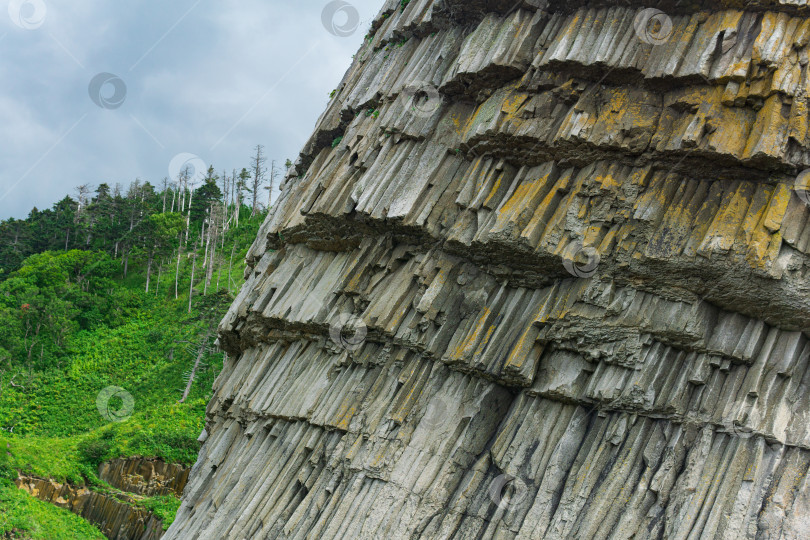Скачать естественный фон, фрагмент скалы из столбов вулканической лавы фотосток Ozero