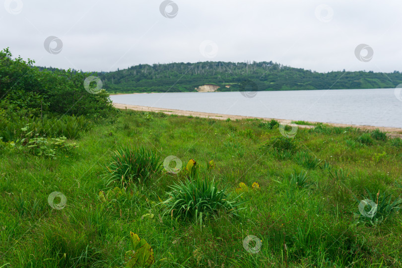 Скачать берег озера в пасмурную погоду, озеро Лагунное на острове Кунашир фотосток Ozero