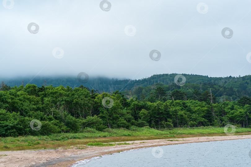 Скачать берег озера в лесистой горной местности в пасмурную погоду, озеро Лагунное на острове Кунашир фотосток Ozero