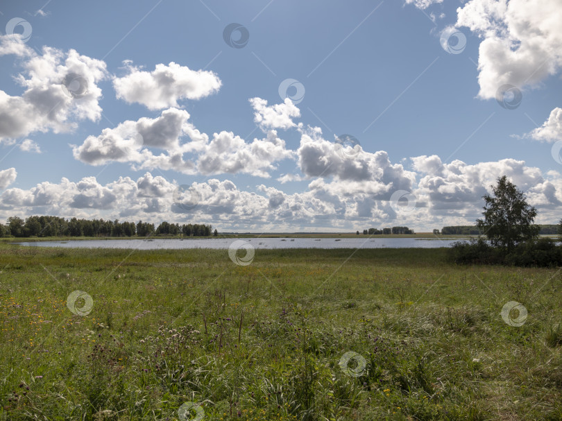 Скачать Волны, брызги и пена, река Катунь в горах Алтая. Сибирь, Россия фотосток Ozero