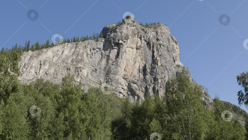 Скачать Горный пейзаж со скалой и зеленым лесом фотосток Ozero