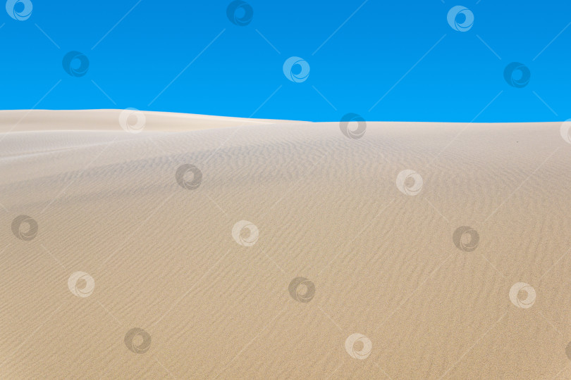 Скачать пустынный пейзаж, песчаные дюны под голубым небом фотосток Ozero