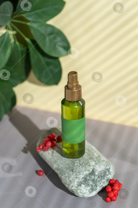 Скачать Бутылка зеленого цвета с пульверизатором лежит на камнях, рядом с зелеными листьями и ягодами лимонника китайского фотосток Ozero