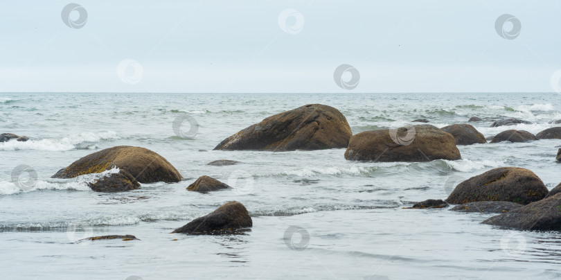 Скачать покрытые водорослями прибрежные валуны в прибое фотосток Ozero