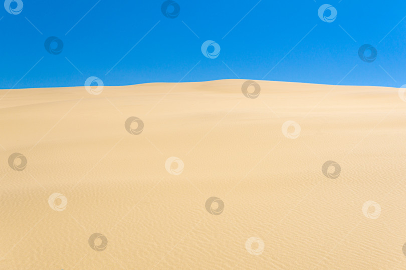 Скачать пустынный пейзаж, песчаные дюны под голубым небом фотосток Ozero