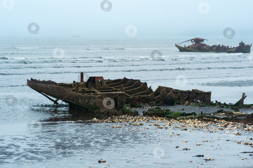 Скачать останки потерпевших крушение кораблей на туманном морском берегу фотосток Ozero