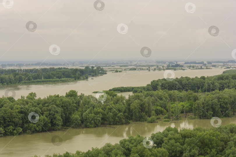 Скачать Разливающаяся река на естественном фоне зеленого леса фотосток Ozero