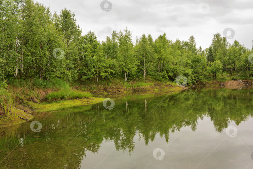 Скачать Разливающаяся река на естественном фоне зеленого леса фотосток Ozero