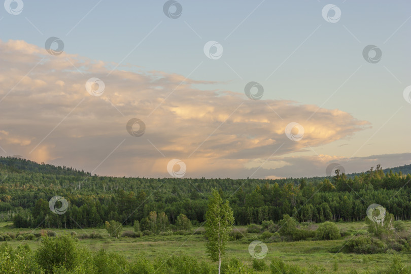 Скачать Лес и поле с облаками, освещенными солнцем на рассвете фотосток Ozero