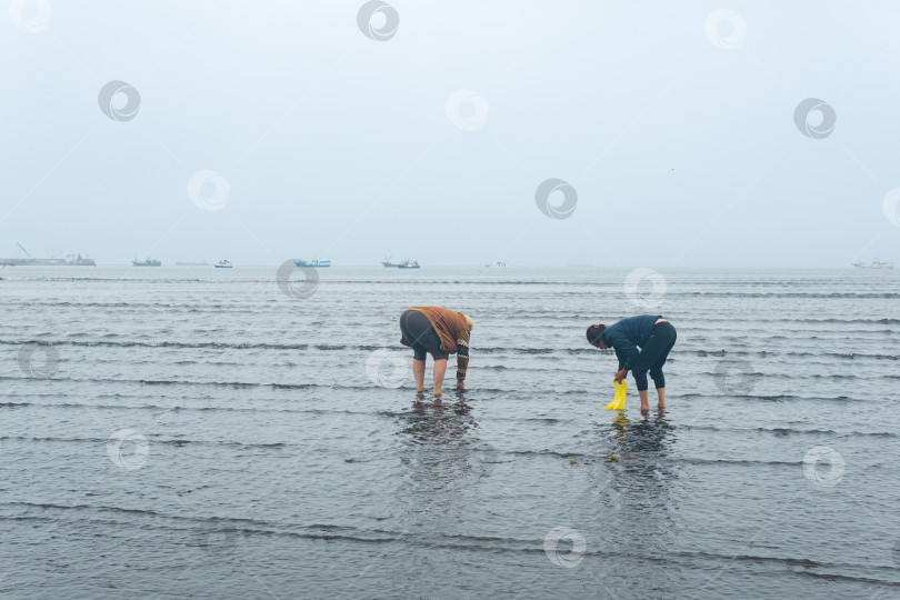 Скачать люди собирают моллюсков на берегу во время отлива на фоне порта и рыбоперерабатывающего завода в Южно-Курильске фотосток Ozero