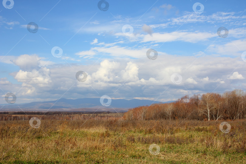 Скачать голубое небо с облаками фотосток Ozero