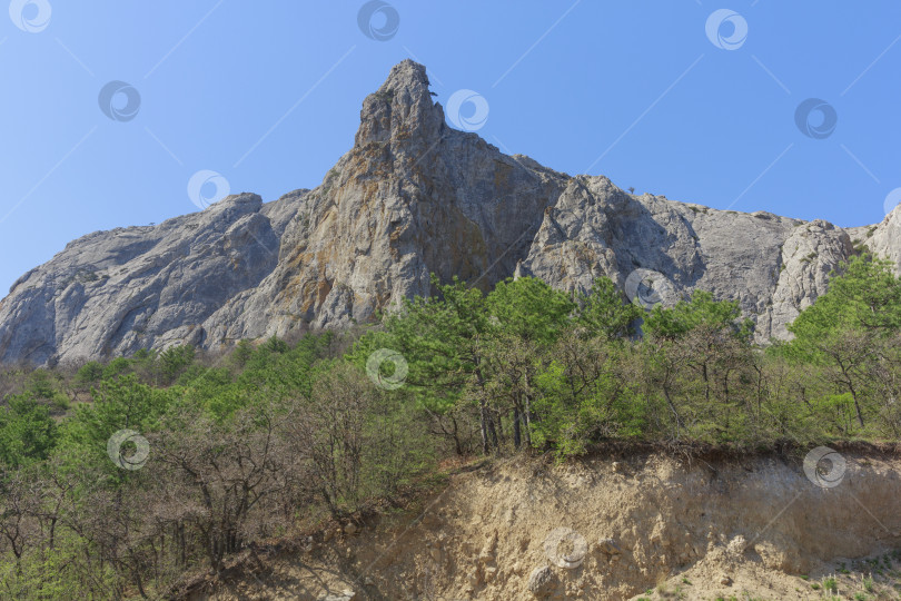 Скачать Горно-морской пейзаж побережья Крыма в России фотосток Ozero