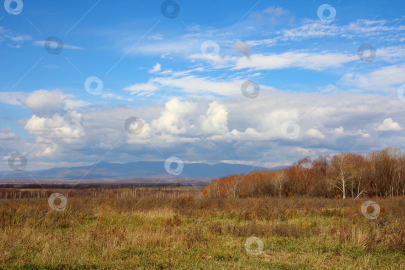 Скачать Горный осенний пейзаж с красочным лесом фотосток Ozero