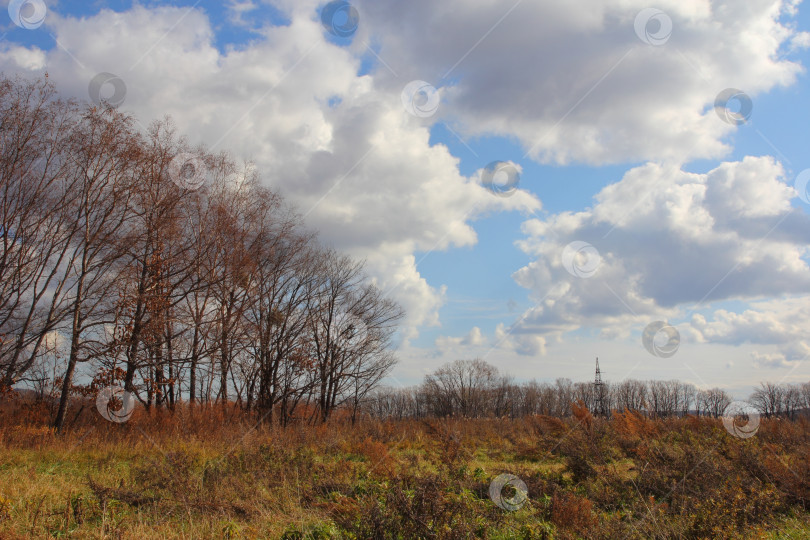 Скачать голубое небо с облаками фотосток Ozero