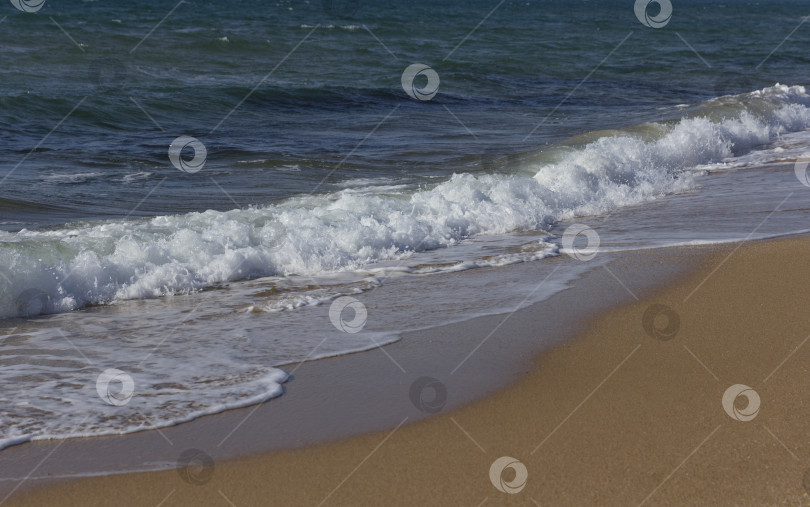 Скачать Морская волна на песчаном пляже фотосток Ozero