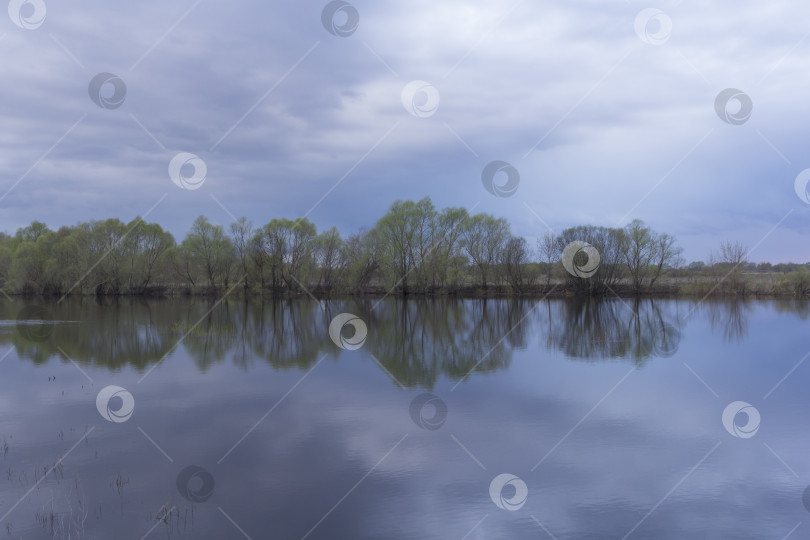 Скачать Отражение березы в озере. фотосток Ozero