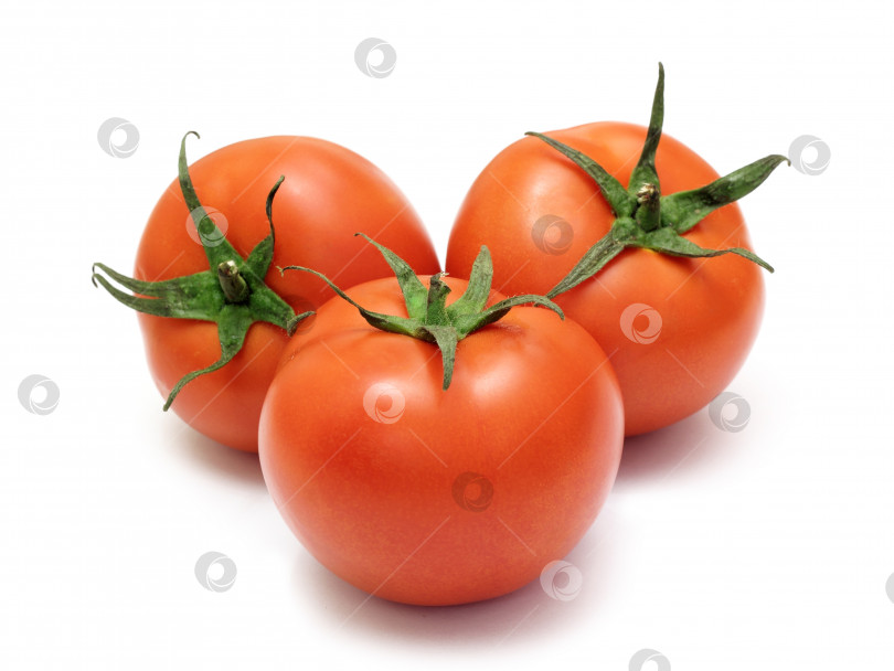 Скачать красный помидор, выделенный на белом фоне фотосток Ozero