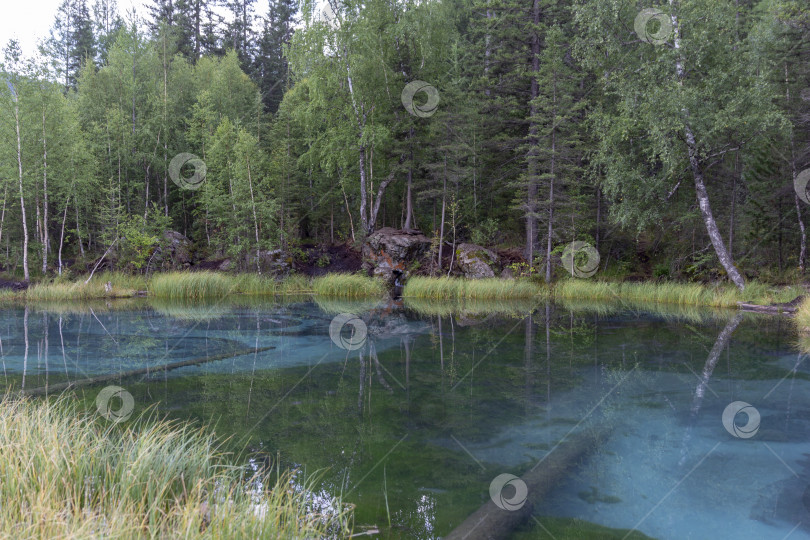 Скачать Удивительное голубое гейзерное озеро в горах Алтая, Россия фотосток Ozero