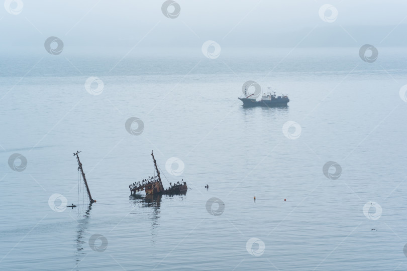 Скачать рыбацкое судно и затонувший корабль в море на фоне далекого туманного побережья фотосток Ozero