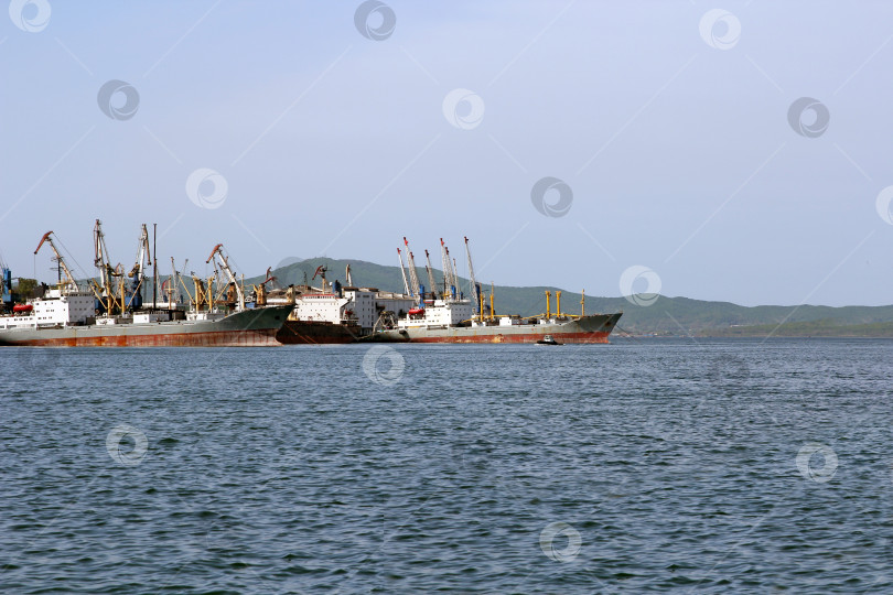 Скачать Морской торговый порт Владивосток, Россия, Тихий океан фотосток Ozero