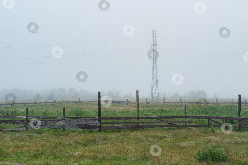 Скачать сельский пейзаж, загон для скота на туманном пастбище фотосток Ozero