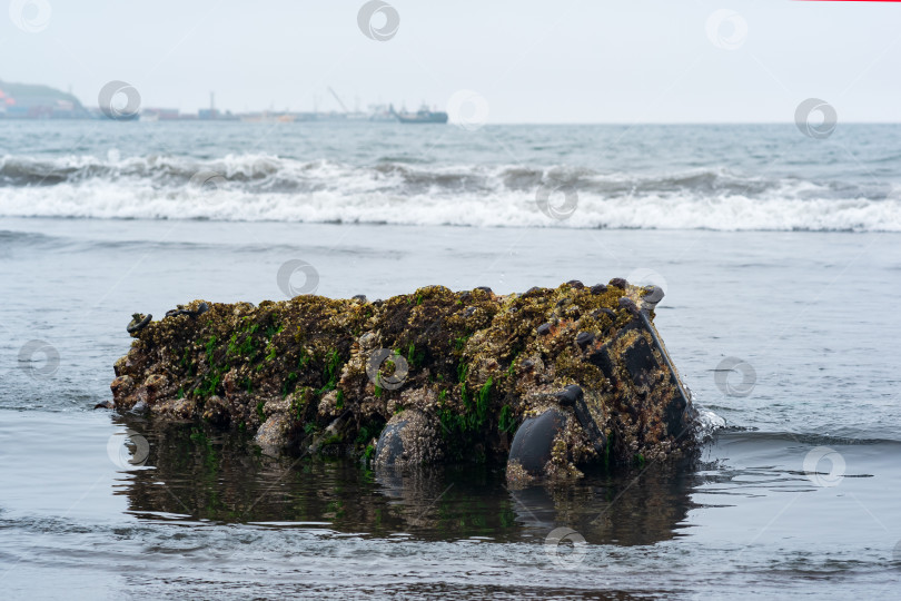 Скачать морской дизельный двигатель, выброшенный на берег после кораблекрушения, покрытый биообрастанием фотосток Ozero