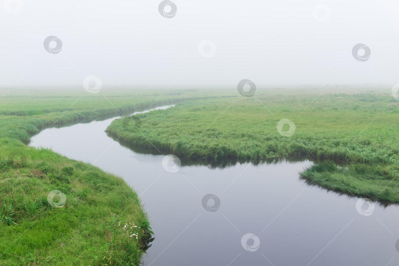 Скачать утренний пейзаж, обширный луг с сочной травой скрыт туманом фотосток Ozero