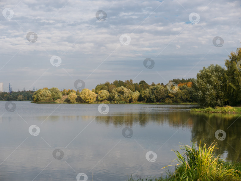 Скачать Осенняя листва с отражением воды природный ландшафт фотосток Ozero