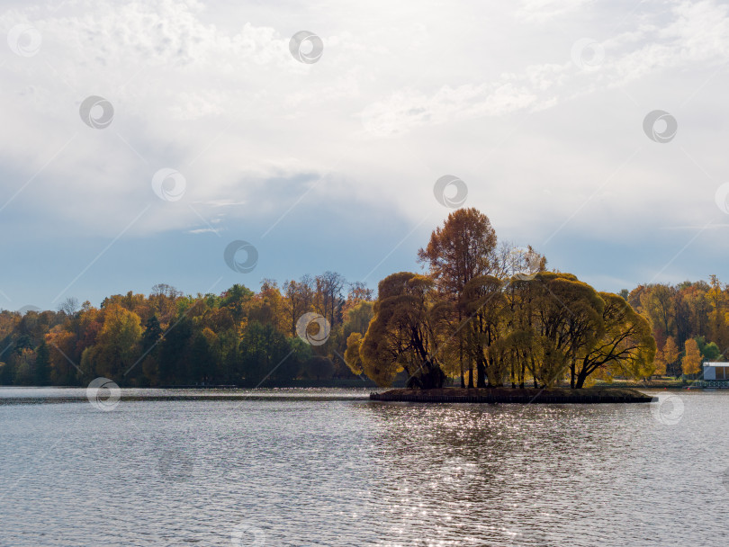 Скачать Осенняя листва с отражением воды природный ландшафт фотосток Ozero