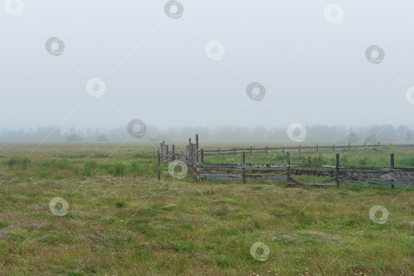 Скачать сельский пейзаж, загон для скота на туманном лугу фотосток Ozero