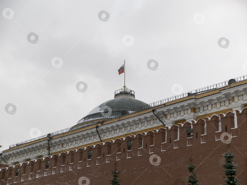 Скачать Кремль, Москва, купол здания Сената, башня российского флага фотосток Ozero