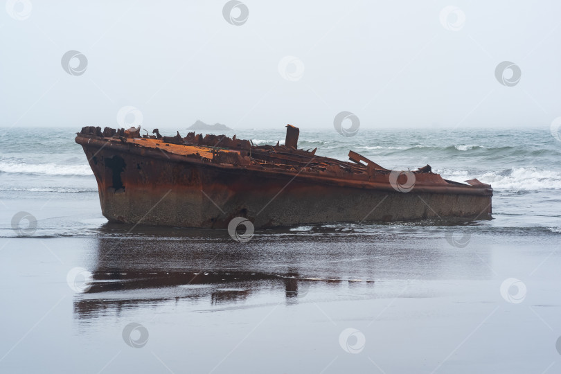 Скачать ржавое кораблекрушение, останки корабля, выброшенные на берег на фоне туманного морского пейзажа фотосток Ozero