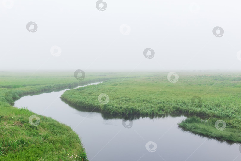 Скачать утренний пейзаж, обширный луг с сочной травой скрыт туманом фотосток Ozero