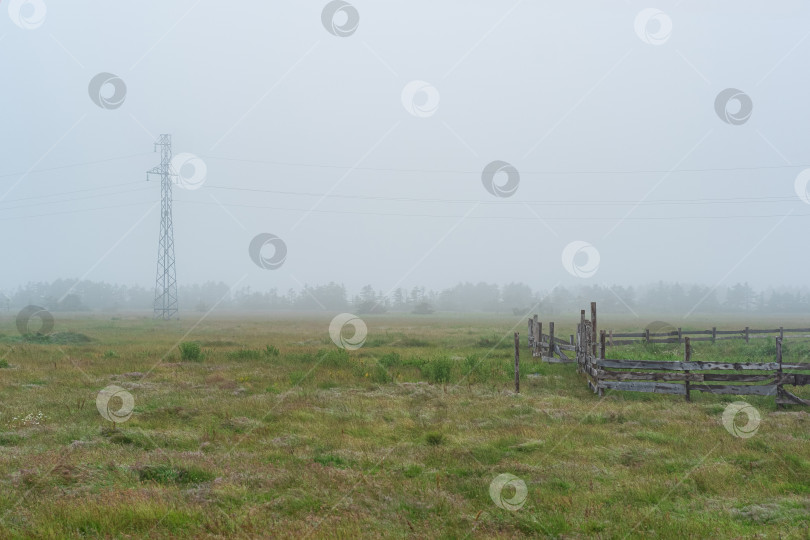 Скачать сельский пейзаж, загон для скота на туманном пастбище фотосток Ozero