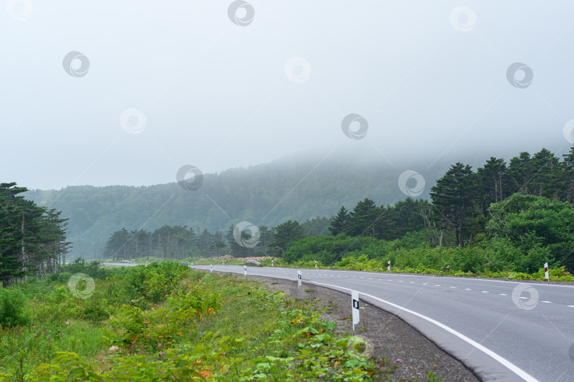 Скачать шоссе через туманные лесистые холмы на острове Кунашир фотосток Ozero