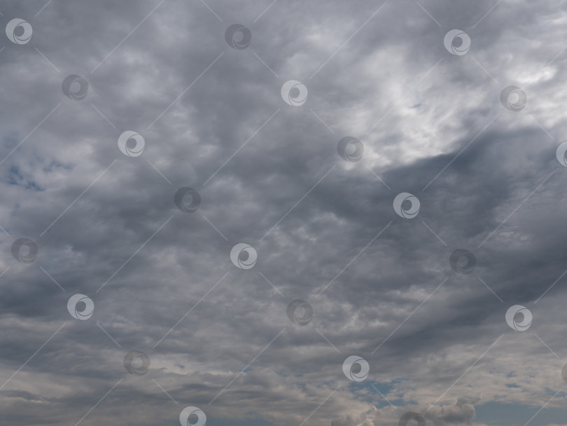 Скачать Красивые облака различной формы в высоком небе фотосток Ozero