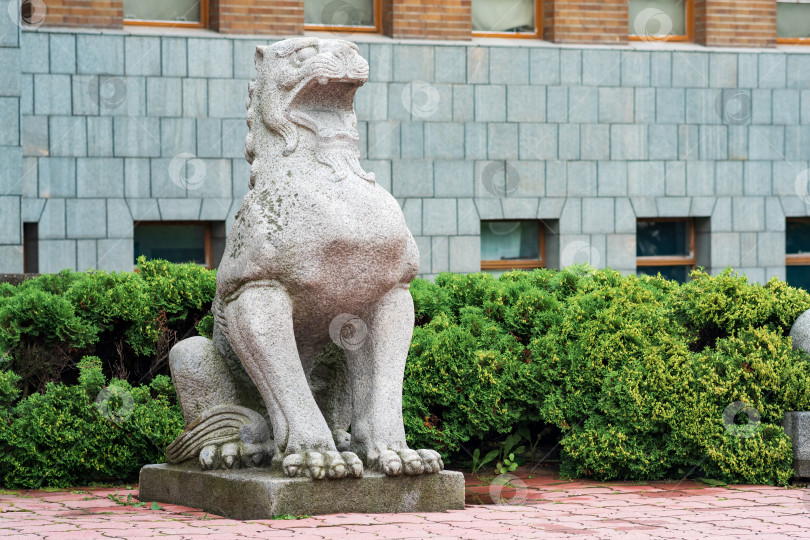 Скачать традиционная японская статуя каменного льва у входа в Сахалинский краеведческий музей фотосток Ozero
