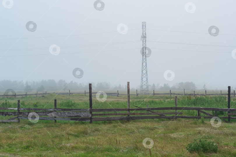 Скачать сельский пейзаж, загон для скота на туманном пастбище фотосток Ozero