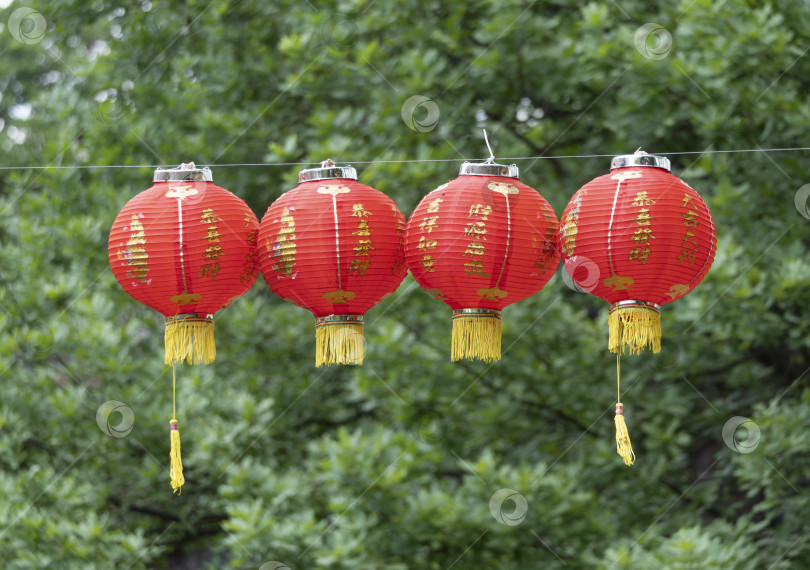 Скачать Китайский фестиваль красных фонарей на фоне зеленых деревьев и неба фотосток Ozero
