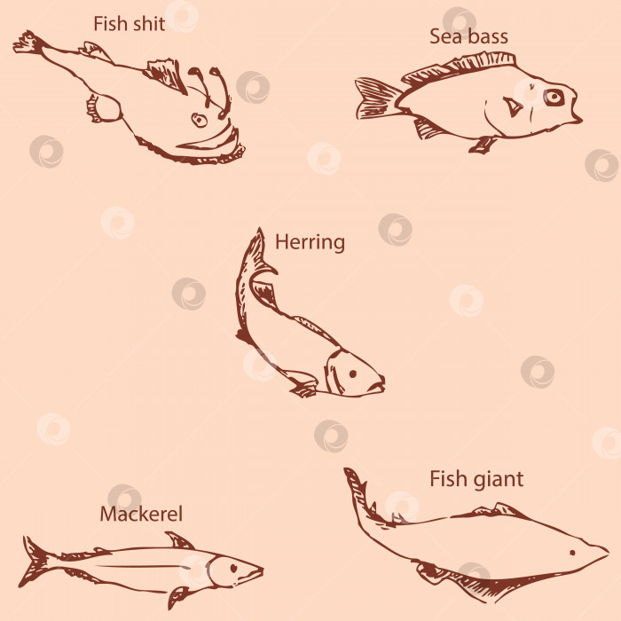 Скачать Морские обитатели с именами. Карандашный набросок от руки. Винтажные цвета. Вектор фотосток Ozero