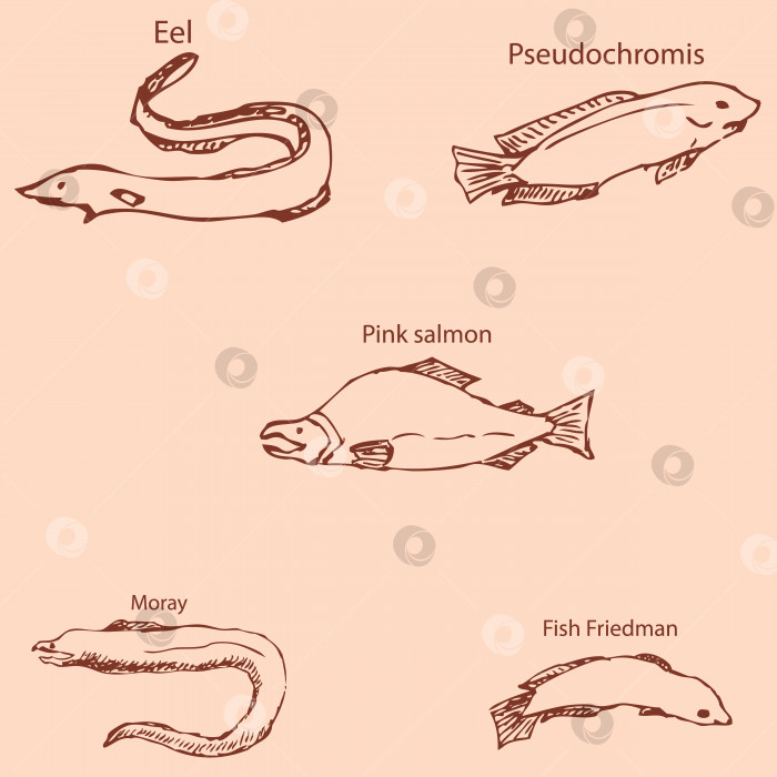 Скачать Морские обитатели с именами. Карандашный набросок от руки. Винтажные цвета. Вектор фотосток Ozero