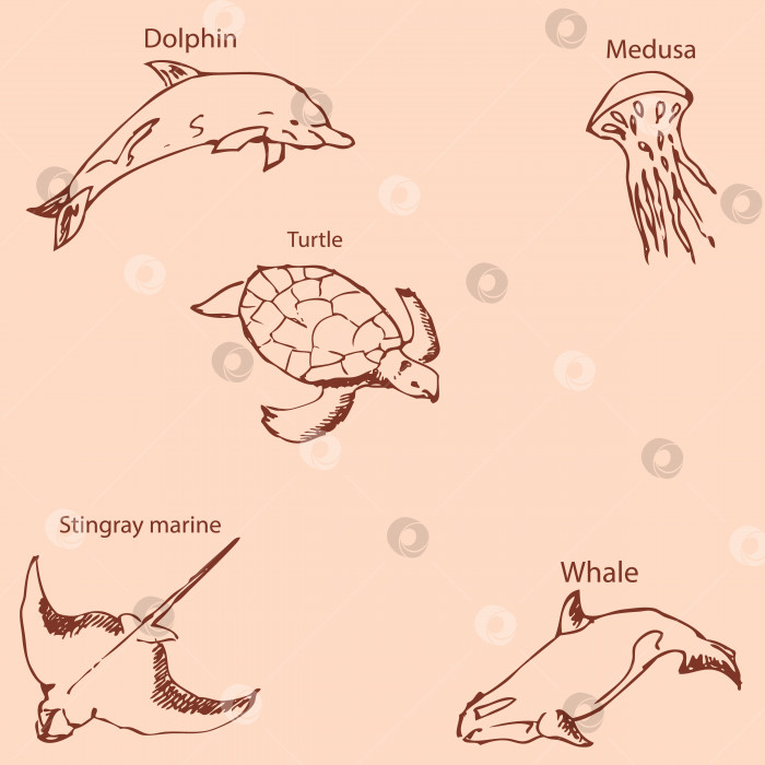 Скачать Морские обитатели с именами. Карандашный набросок от руки. Винтажные цвета. Вектор фотосток Ozero