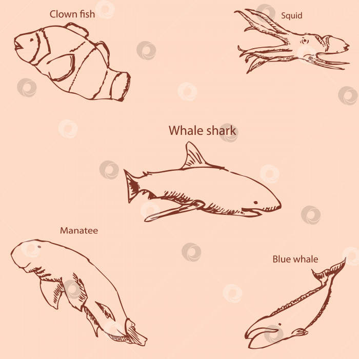 Скачать Морские обитатели с именами. Карандашный набросок от руки. Винтажные цвета. Вектор фотосток Ozero