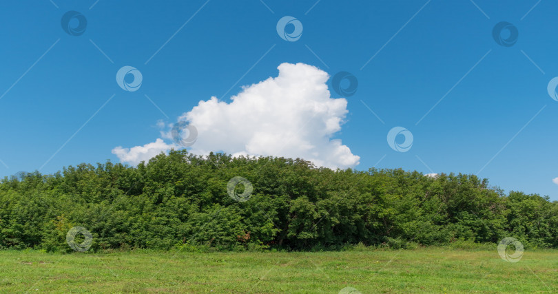 Скачать Пейзаж с зеленой травой поля фотосток Ozero