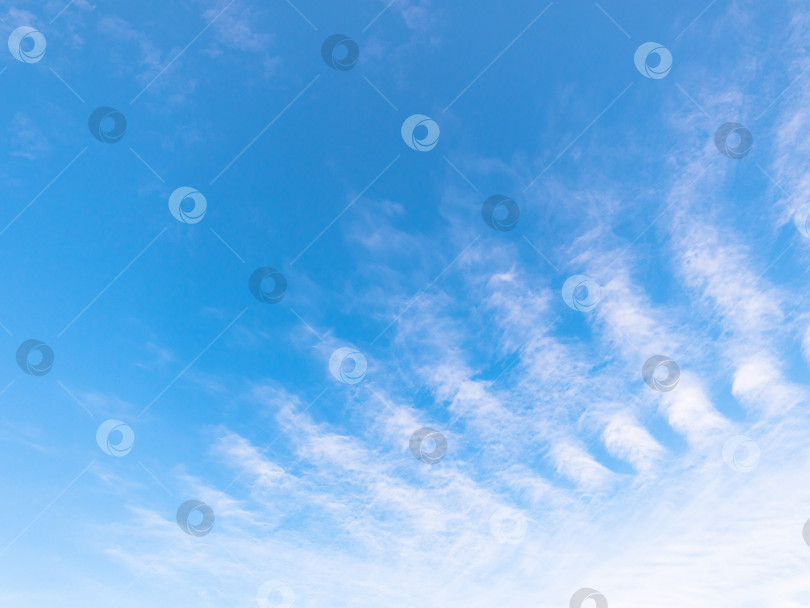 Скачать Прекрасное голубое небо с яркими белыми облаками фотосток Ozero