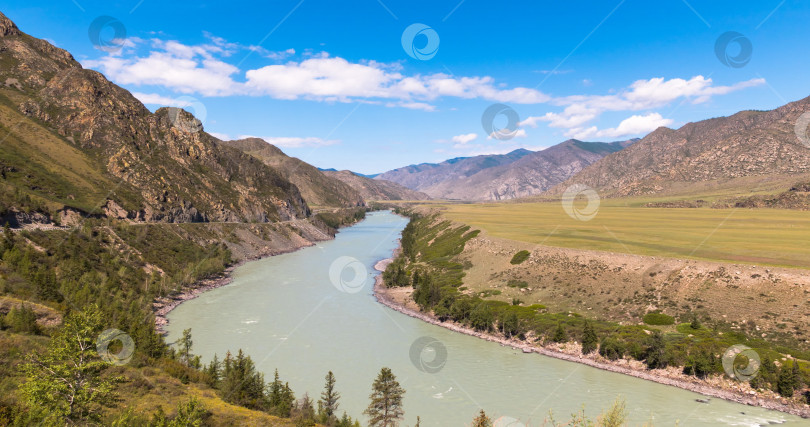 Скачать волны, брызги и пена, река Катунь в горах Алтая. Сибирь, Россия фотосток Ozero